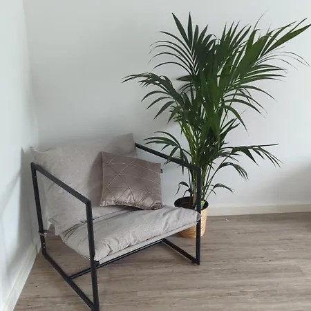 Be My Guest - In Der Erfurt