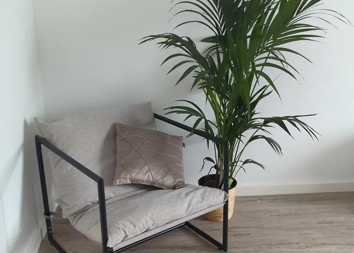 Be My Guest - In Der Erfurt